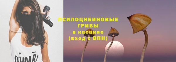 дурь Абаза