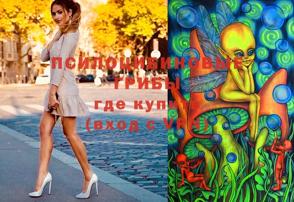 ешки Абинск